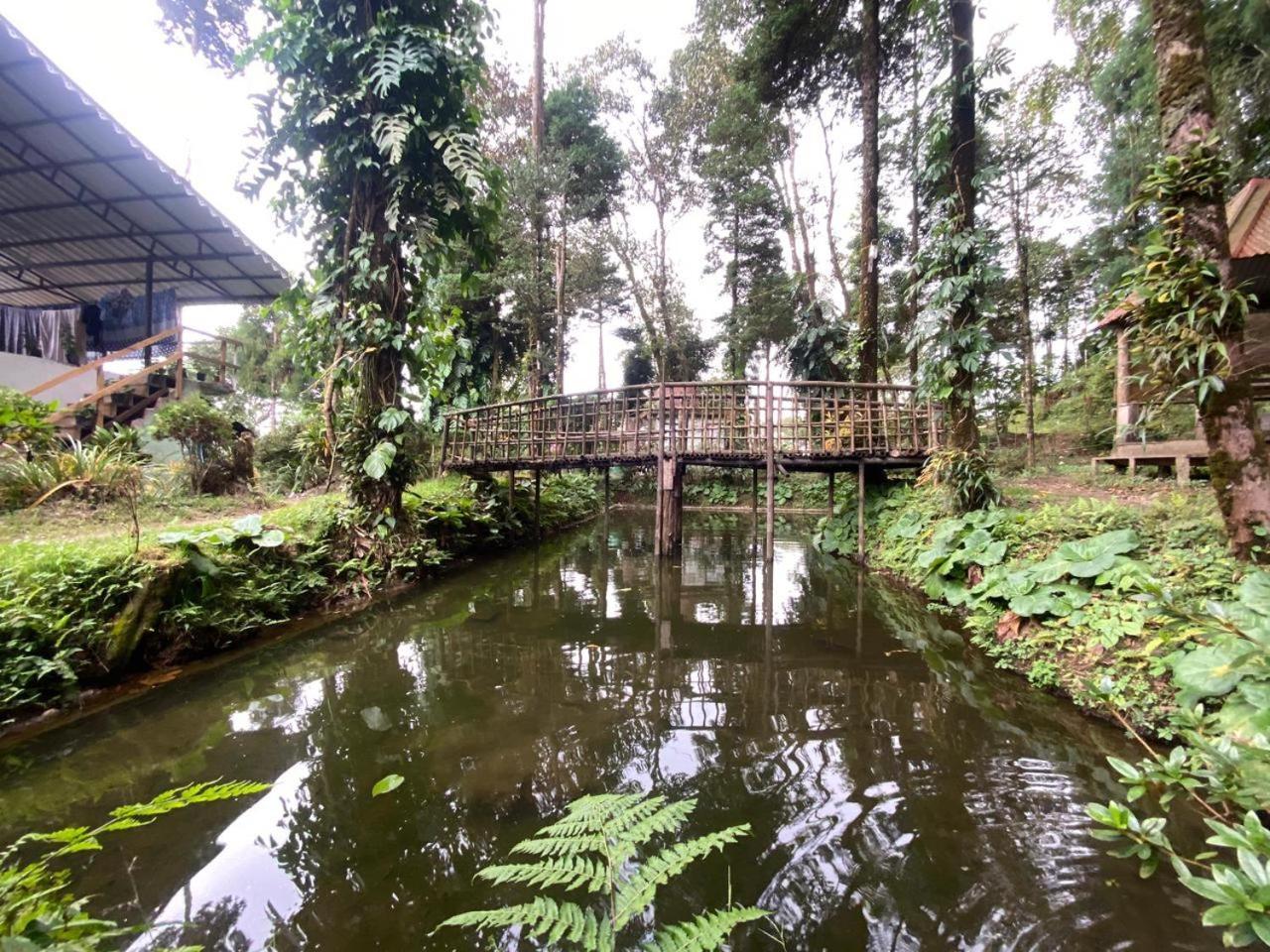 Magnolia Farmhouse And Homestay Darjeeling  Dış mekan fotoğraf