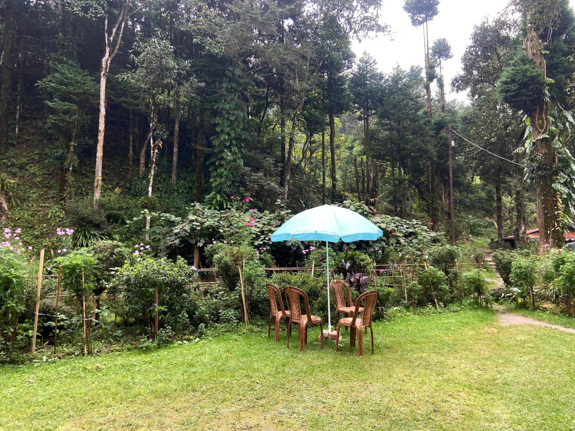 Magnolia Farmhouse And Homestay Darjeeling  Dış mekan fotoğraf